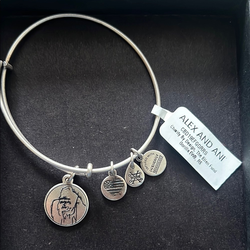 Alex and Ani Silver Charm Bracelet